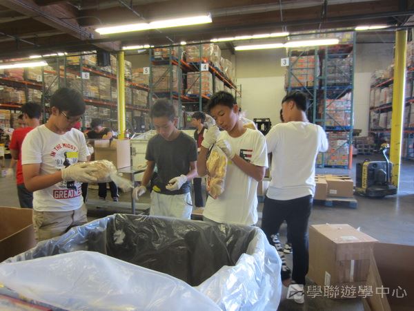 Michael Jordan籃球巨星訓練營,學聯遊學團