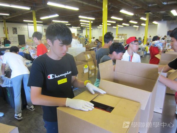 Michael Jordan籃球巨星訓練營,學聯遊學團