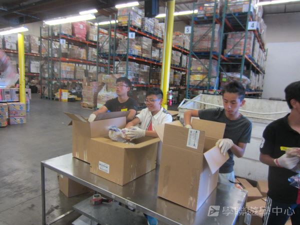 Michael Jordan籃球巨星訓練營,學聯遊學團