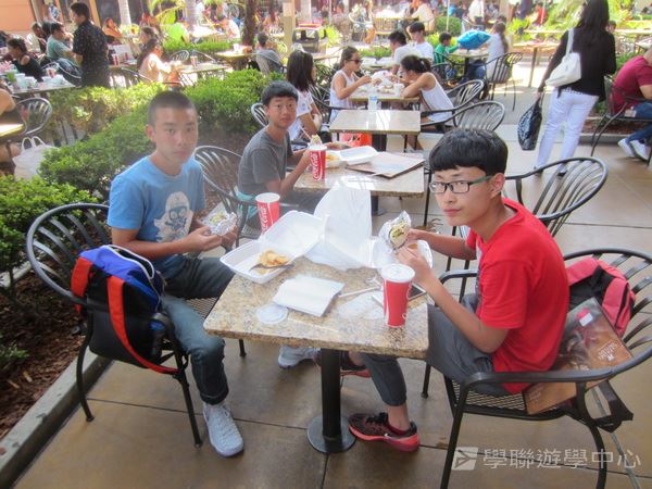 Michael Jordan籃球巨星訓練營,學聯遊學團