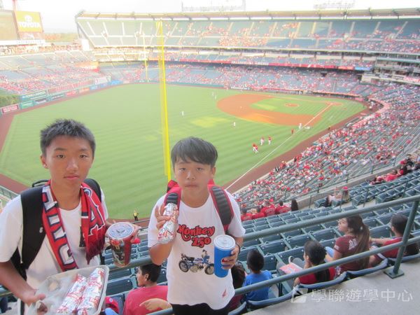 Michael Jordan籃球巨星訓練營,學聯遊學團