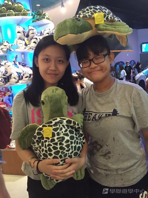 多倫多文化風情體驗之旅,學聯遊學團