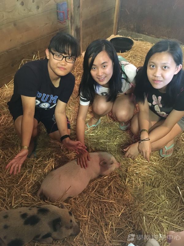 多倫多文化風情體驗之旅,學聯遊學團