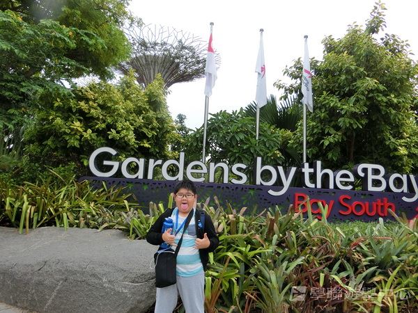 新加坡通識全方位體驗之旅,學聯遊學團