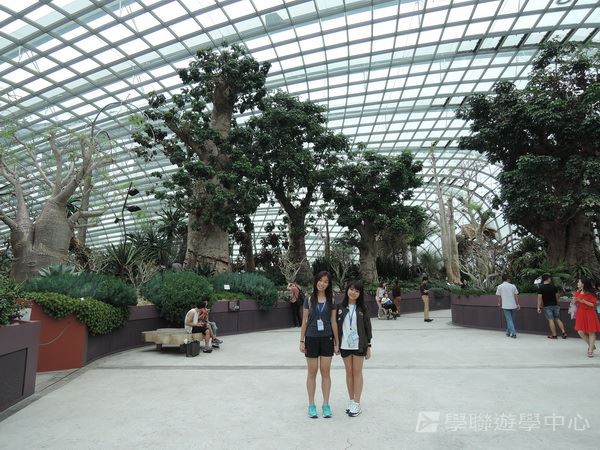 新加坡通識全方位體驗之旅,學聯遊學團