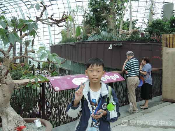 新加坡通識全方位體驗之旅,學聯遊學團