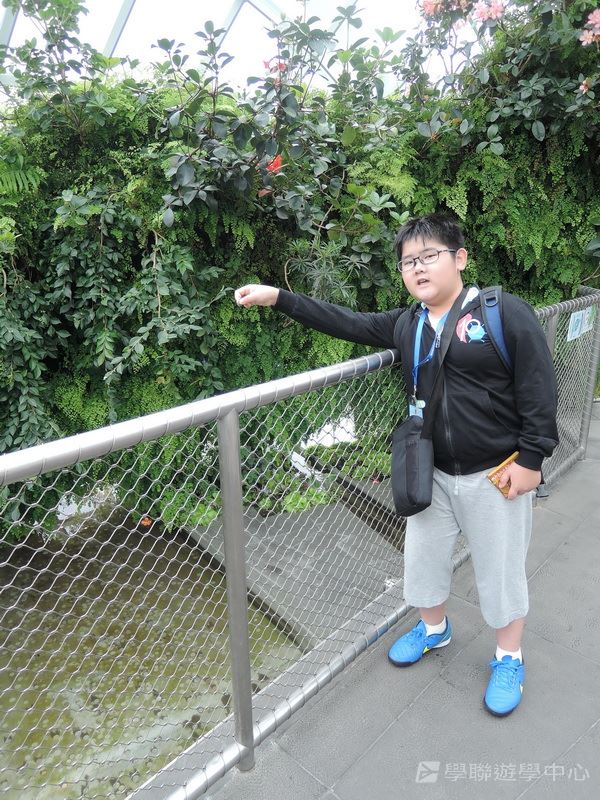 新加坡通識全方位體驗之旅,學聯遊學團