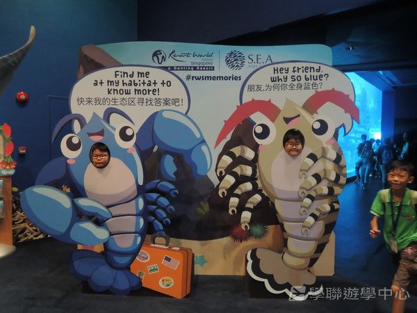 新加坡通識全方位體驗之旅,學聯遊學團