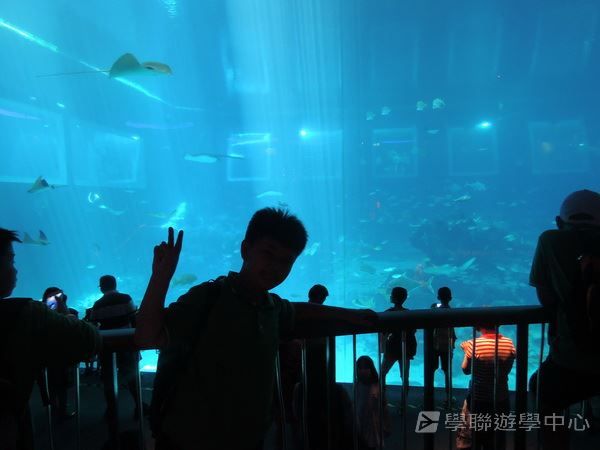 新加坡通識全方位體驗之旅,學聯遊學團