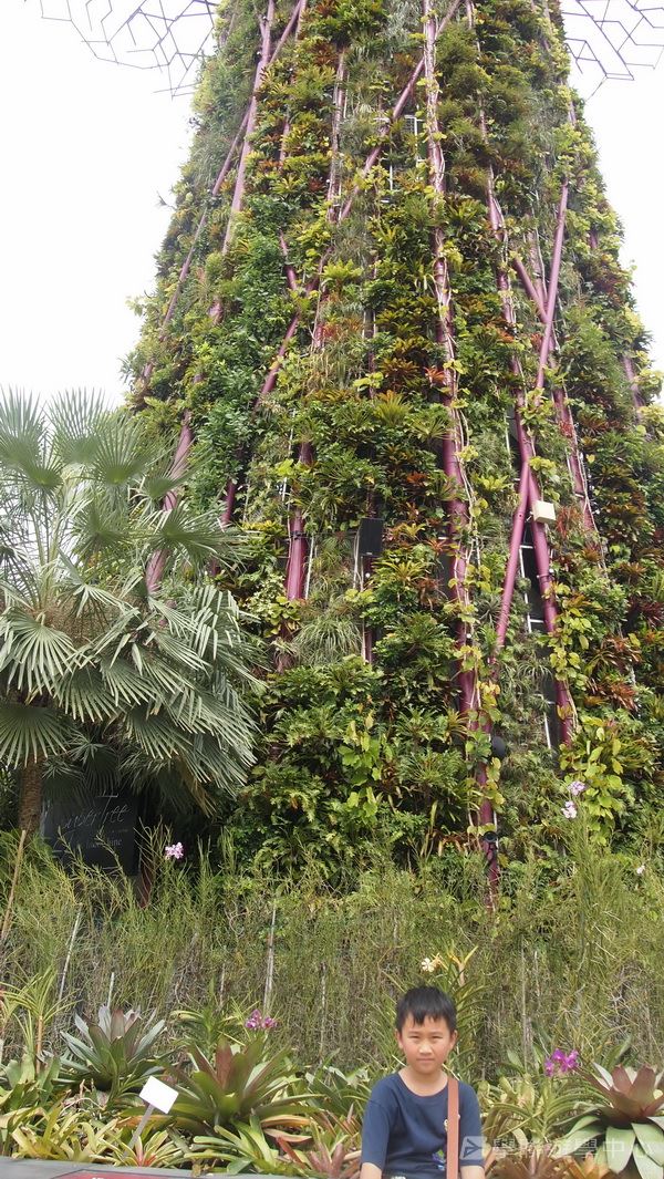 新加坡通識全方位體驗之旅,學聯遊學團