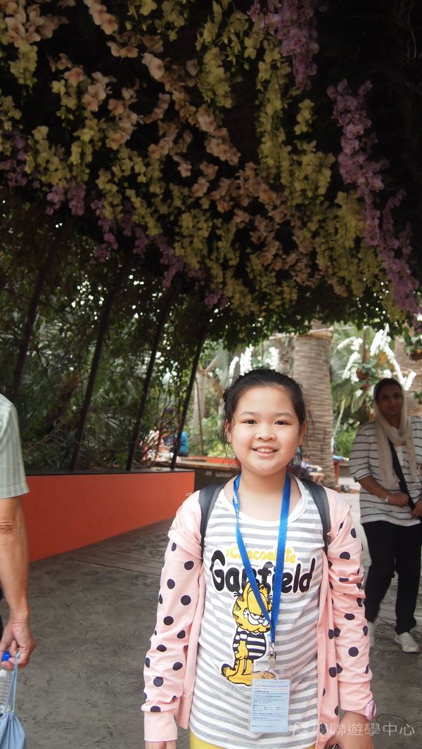 新加坡通識全方位體驗之旅,學聯遊學團