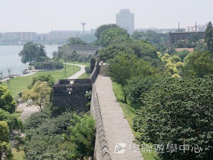 基地義工體驗營,學聯遊學團