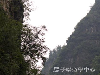 基地義工體驗營,學聯遊學團