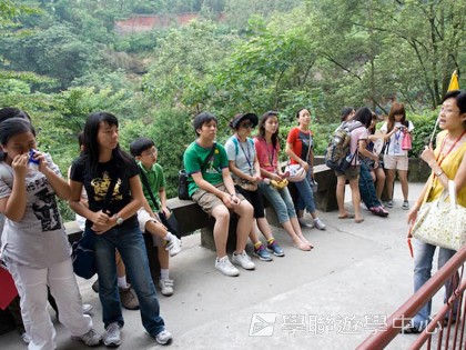 基地義工體驗營,學聯遊學團