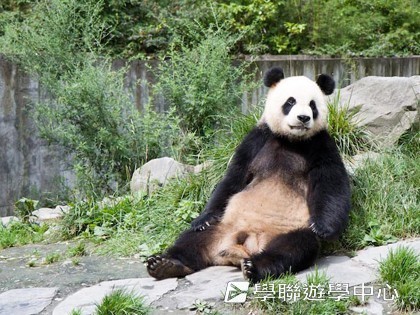 基地義工體驗營,學聯遊學團