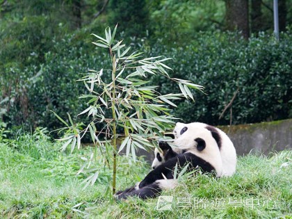 基地義工體驗營,學聯遊學團