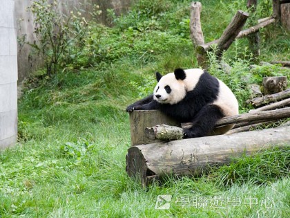 基地義工體驗營,學聯遊學團