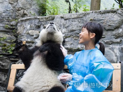 基地義工體驗營,學聯遊學團