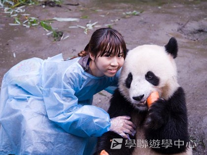 基地義工體驗營,學聯遊學團