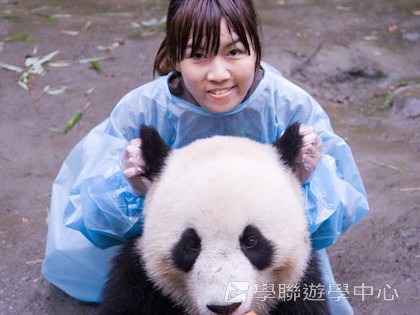 基地義工體驗營,學聯遊學團